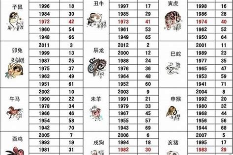 2028年五行属什么|2028年五行属什么？2028年出生是什么命？